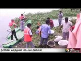 A 30 member strong team would be formed to get rid of insects in Korattur lake says health minister