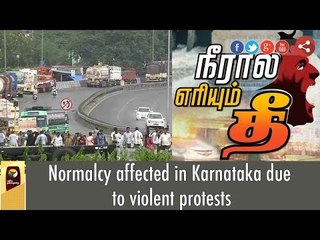 Normalcy affected in Karnataka due to violent protests