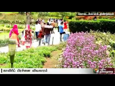 Cauvery protests affects tourism in Kodaikanal - Details