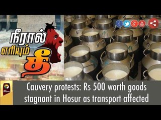 Tamil Nadu to face 60% milk shortage on Sept. 16 due to bandh