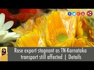 Rose export stagnant as TN-Karnataka transport still affected | Details