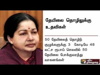 Chief minister Jayalalithaa's announcements for tea plantation workers