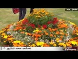 Flower exhibition begins in Ooty | Details