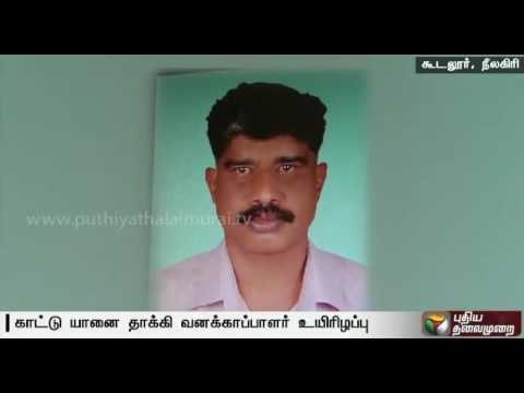 Forest official dies in wild elephant attack at Nilgiri