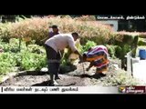 Hybrid flower plantation begins in Kodaikanal | Details