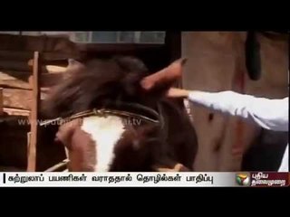 Curfew continues in Kashmir for 81st day: Tourism affected