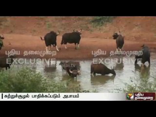 Kerala keen on completing the controversial dam across Siruvani as TN is focused on Cauvery issue