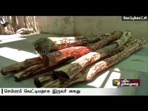 Two persons,from Salem & Thiruvannamalai arrested on charges of smuggling red sanders near Tirupathi