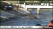 Forest officials rescue elephant which fell into canal in Udumalpet