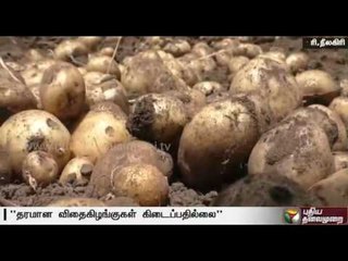 Farmers hesitant to cultivate potato in Nilgiri, request for quality seeds