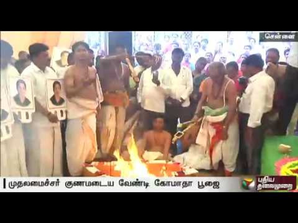 Special prayes and feeding of 2000 cows, seeking total recovery of CM Jayalalithaa
