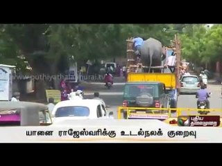 Salem Sugavaneshwarar temple elephant has been transferred for special treatment