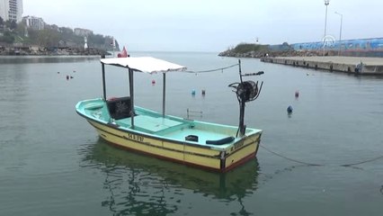 Tezgahlardaki Hamsi Yunanistan'dan Getiriliyor" - Düzce