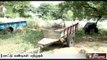 Bullock carts carrying illegal  sand seized at Aranthangi