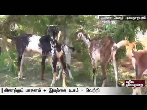 Success of graduates in developing an integrated farm with organic fertilizers