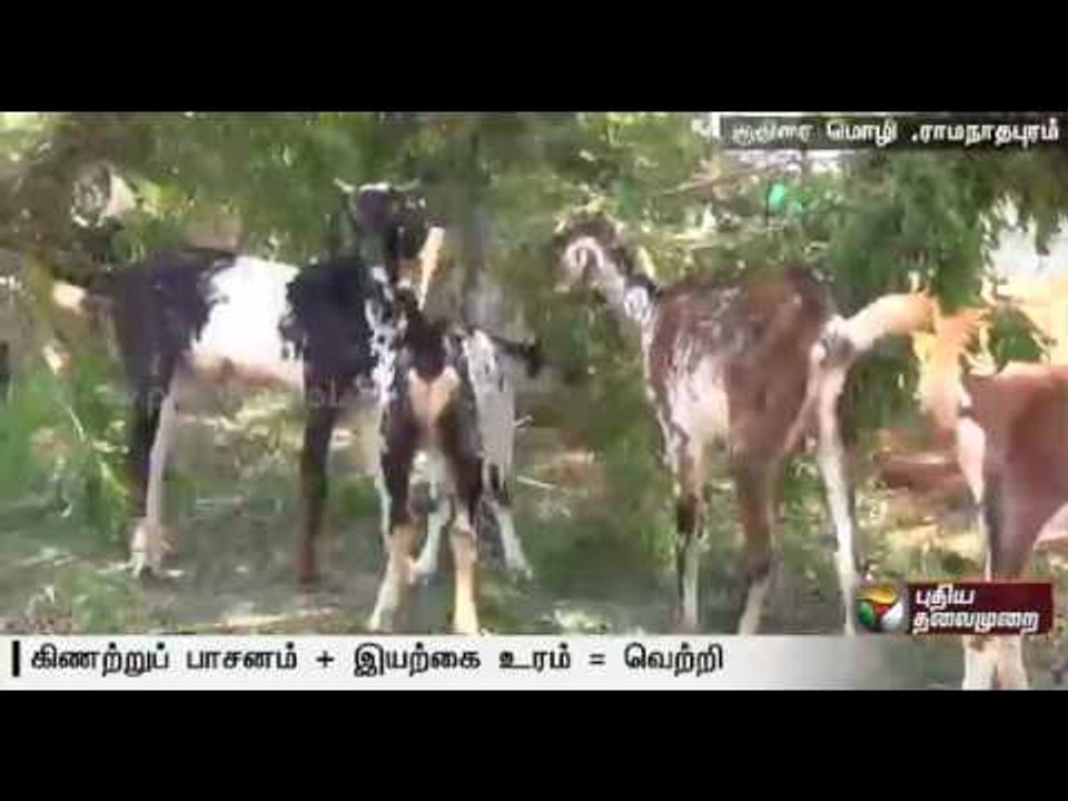 Success of  graduates in developing an integrated farm with organic fertilizers