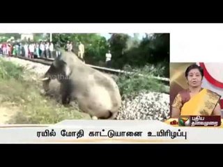 Wild Elephant dies after being hit by train in uttarakhand