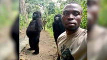 Why a park ranger’s selfie with two gorillas went viral