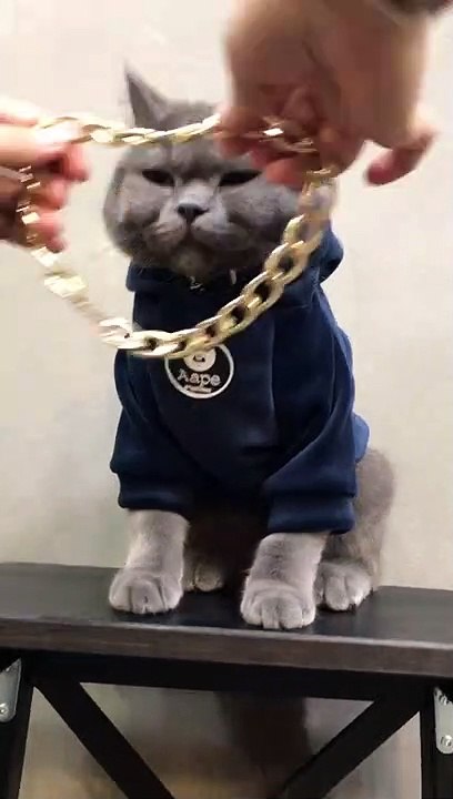Cool boy.