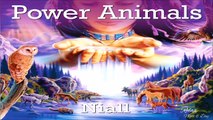 ♫ Power Animals, Shamanic Music - Native American Indians Spiritual Shaman Music