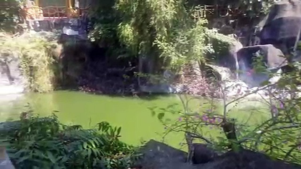 2019 BEST 4K ULTRA HD TV VIDEO SAMPLER Test UHD Stock Video Footage 5