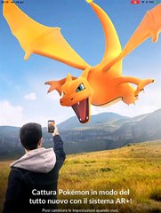 #Treecko IV 100 MAX CP977 LVL35