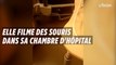 Elle filme des souris dans sa chambre d'hôpital