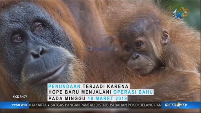Penyelamat Surga Dunia (2)