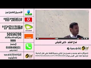 كول تون ناجى القنيشى ضاع العشم