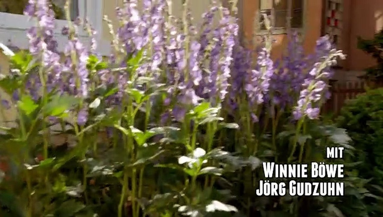 Alles klara (24) der perfekte mord staffel 2 folge 8