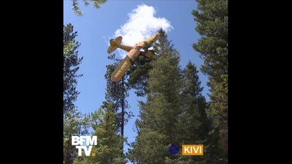 Un pilote atterrit malencontreusement dans un arbre de 18 mètre haut aux États-Unis
