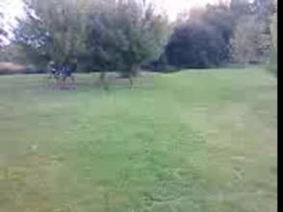 Rom1 mob
