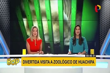 Zoológico de Huachipa: una buena opción para visitar con amigos o familia