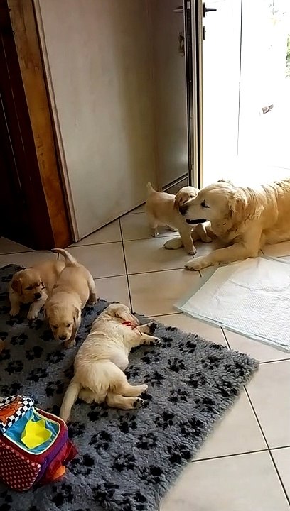 VID_20190425_124140305