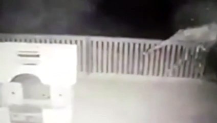 Quand la voisine vient voler un jouet dans le jardin... Flag