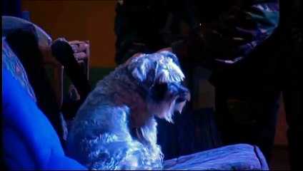 Spaced S02 05 Gone