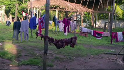 Indígenas arara, entre el aislamiento y la modernidad