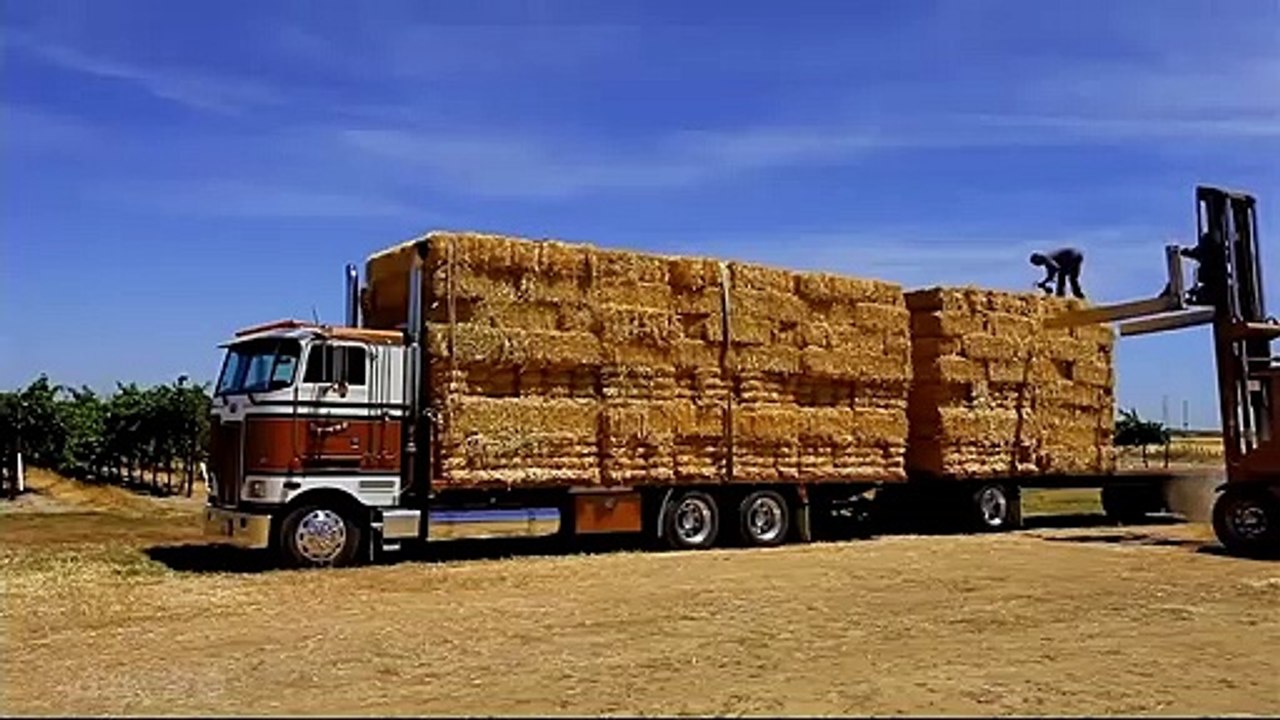 Really shooting the mechanical processing of German grasshoppers this level is really high