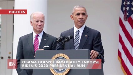 Joe Biden Hasn't Quite Received The Obama Seal Of Approval Yet