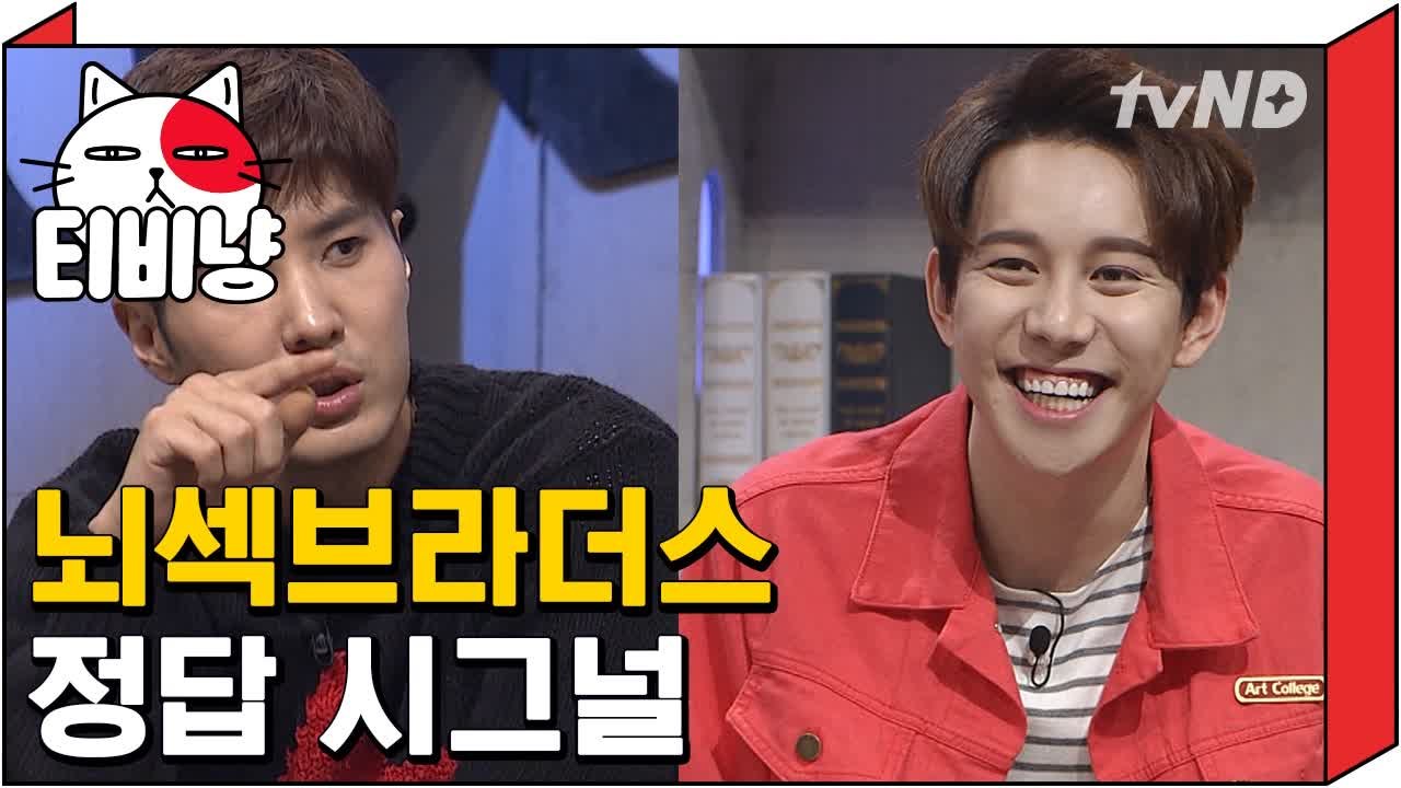 [티비냥] 박경 & 김지석 뇌요블리 브라더스 정답 시그널  | 문제적남자 160327