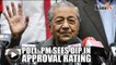Survey: PM's approval rating falls to 46%, PH rating at 39%