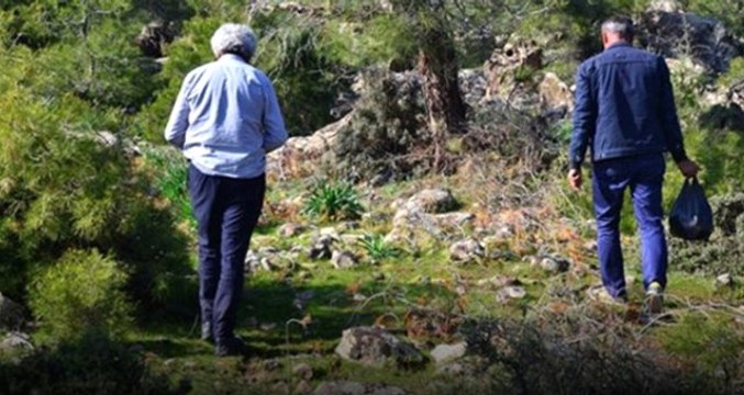 Kuzugöbeği Mantarının Kilosu 100 Liradan Satılıyor