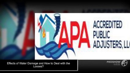 Effects of Water Damage and How to Deal with the Losses