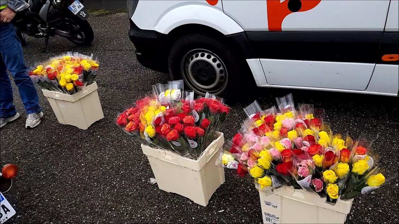 Moselle-Sud : des centaines de motards et des milliers de roses contre le cancer