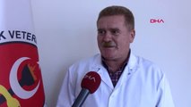 Adana Veteriner Hekimlerin İstihdam Endişesi