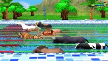 Learn Colors Learn Counting Numbers Wi Wild Zoo Animals Swimming Pool Race Cartoon Animated Rhymes