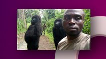 La photo de ces deux gorilles avec un garde forestier fait le tour du monde