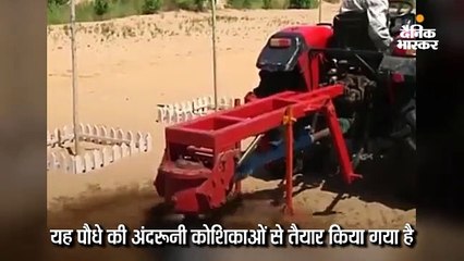 बंजर जमीन में लहलहाई 70 से अधिक फसलें