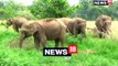 गर्मी में जल स्रोतों के सूखने के कारण टांडा वन रेंज से हाथियों का पलायन