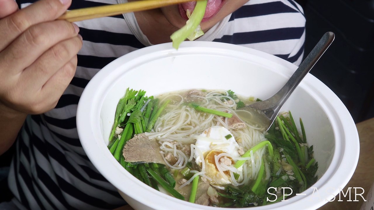 ASMR VIETNAMESE NODDLES WITH PORK AND PIG'S ORGAN (EXOTIC FOOD) | STEVEN PHAN ASMR KING